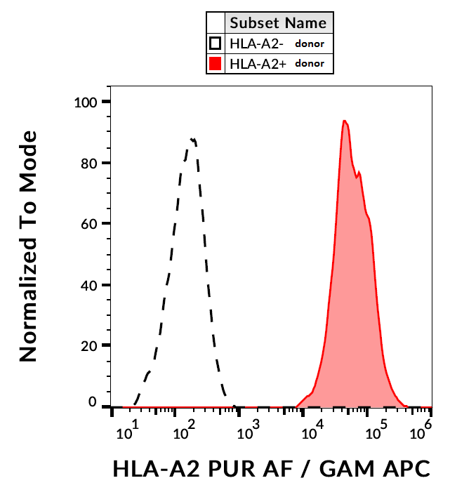 HLA-A2 antibody