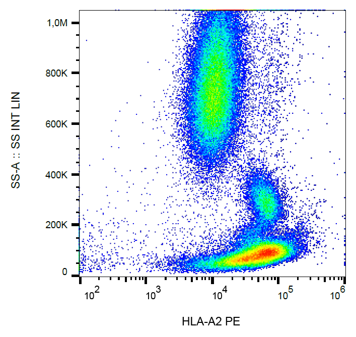 HLA-A2 antibody (PE)