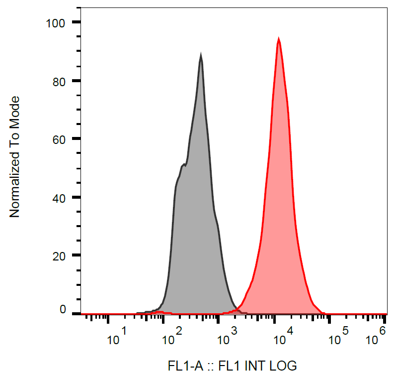 Anti-p53 FITC