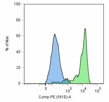 GCPII antibody