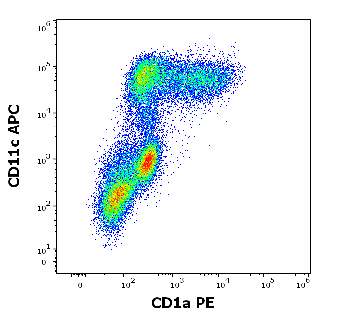 Anti-Hu CD1a PE