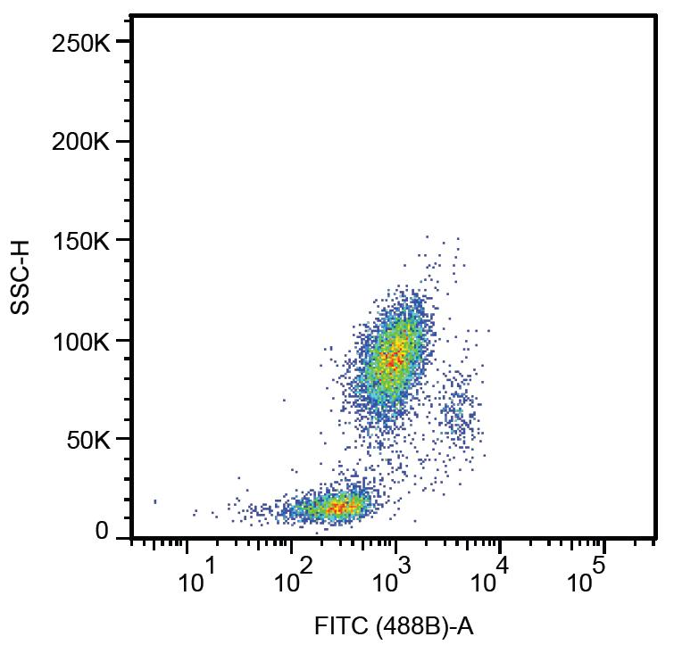 Anti-Hu CD33 Purified