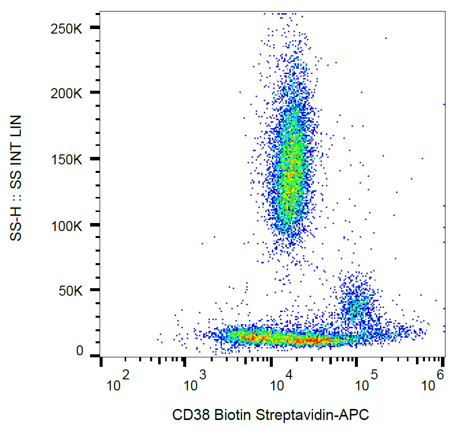 CD38 antibody (Biotin)