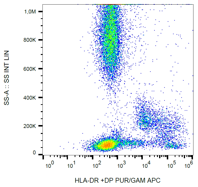 Anti-HLA-DR/DP Purified
