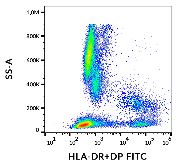 Anti-HLA-DR/DP FITC