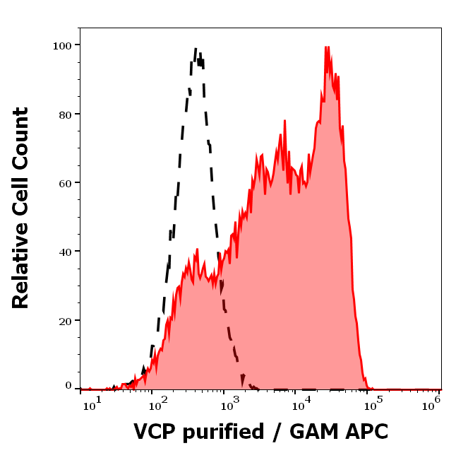Anti-VCP Purified