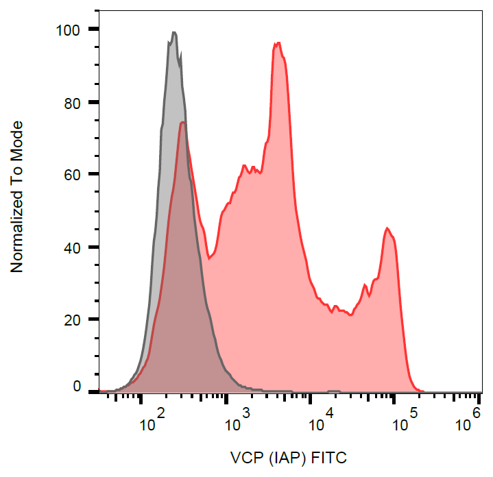 Intra-Acrosomal Protein antibody (FITC)