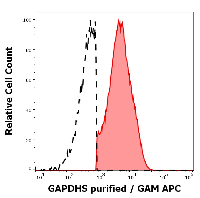 Anti-GAPDHS Purified