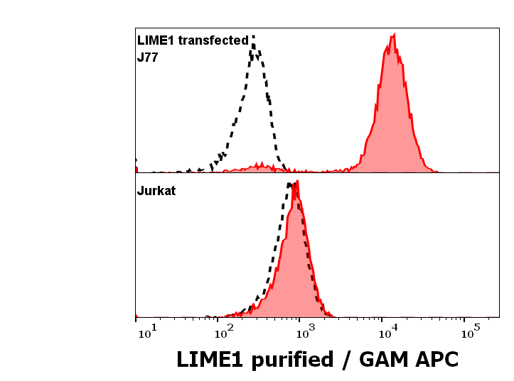 LIME antibody