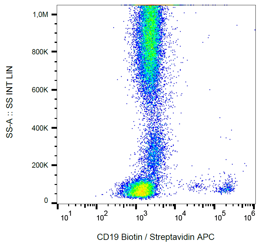 CD19 antibody (Biotin)