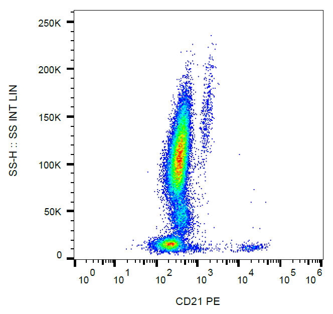 CD21 antibody (PE)