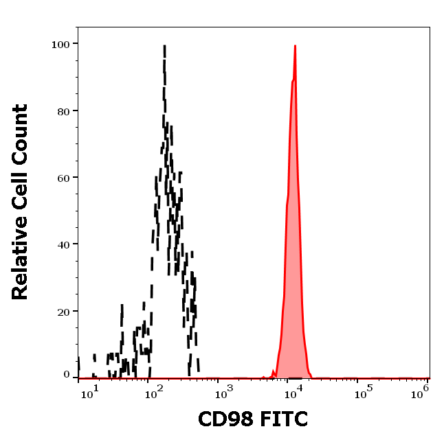 CD98 antibody (FITC)