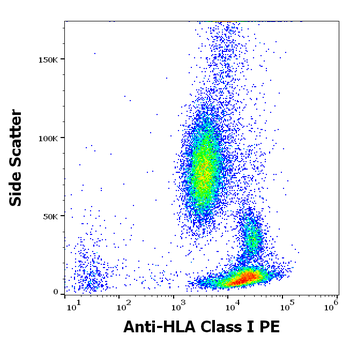 Anti-HLA Class I PE