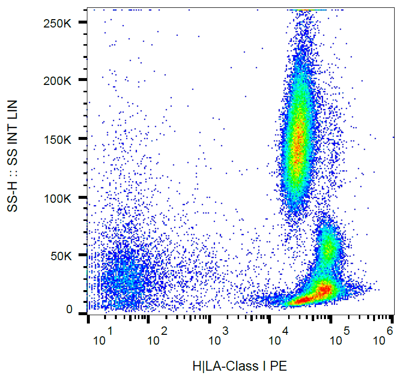 HLA-A antibody (PE)