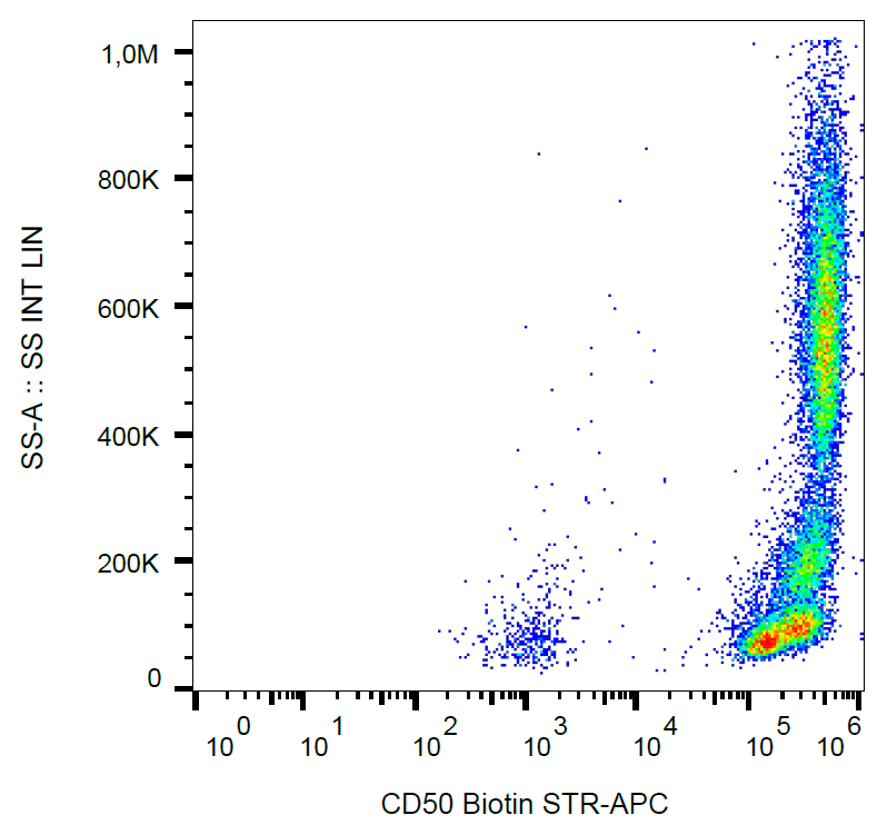 CD50 antibody (Biotin)
