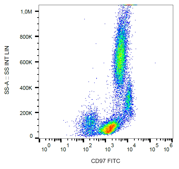 CD97 antibody (FITC)
