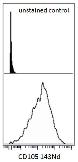 Anti-Hu CD105 Purified
