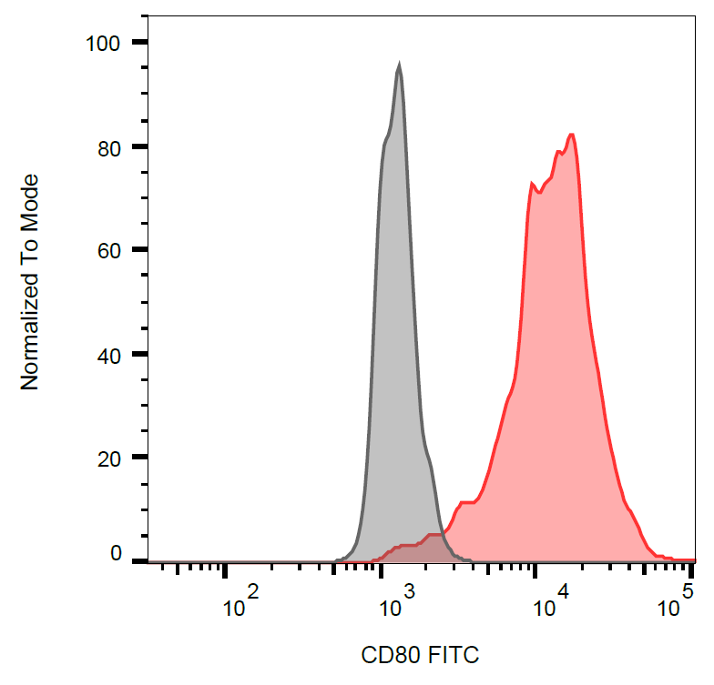 CD80 antibody (FITC)