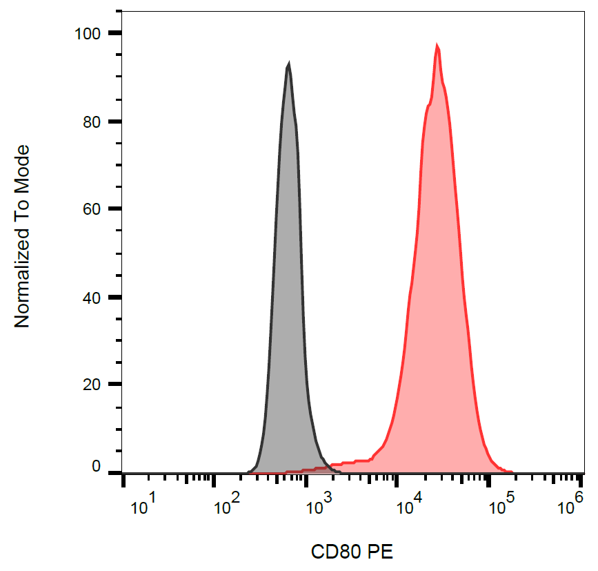 CD80 antibody (PE)
