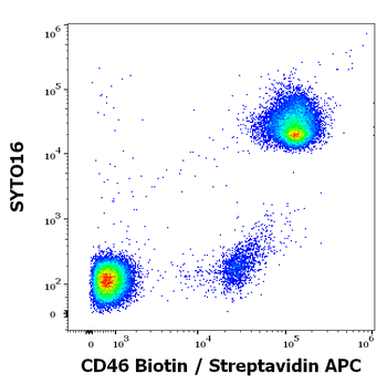 Anti-Hu CD46 Biotin