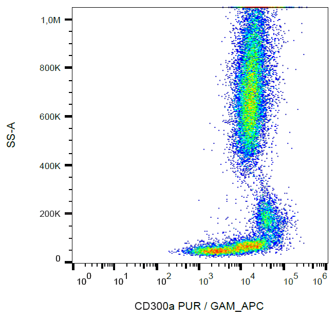 Anti-Hu CD300a Purified