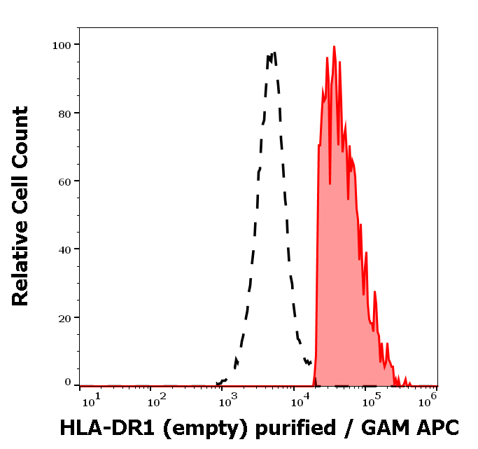 Anti-HLA-DR1 (empty) Purified
