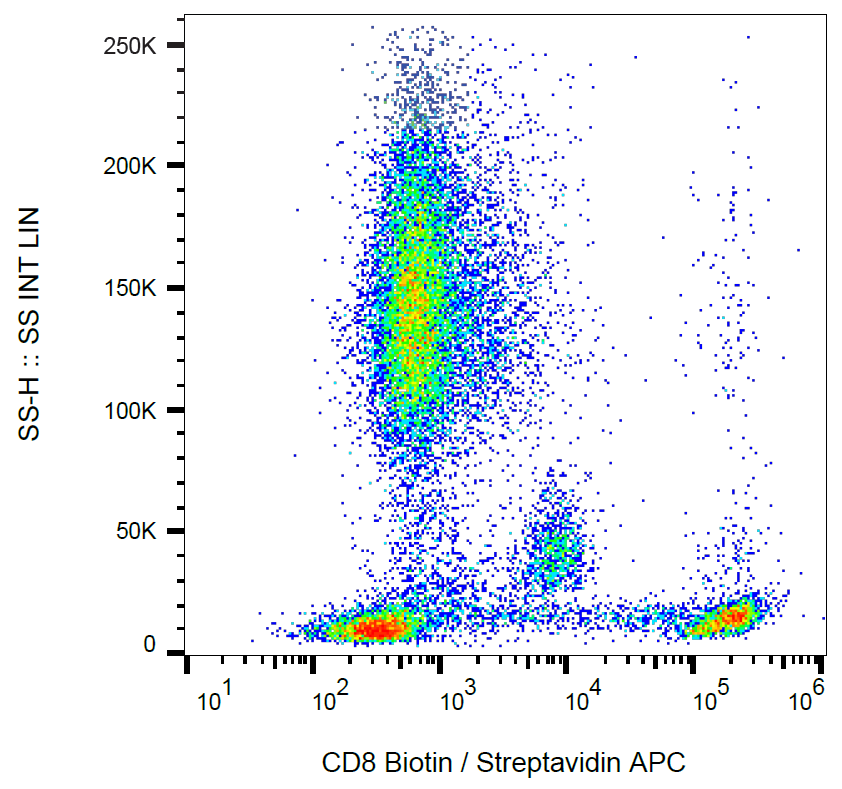 CD8 antibody (Biotin)