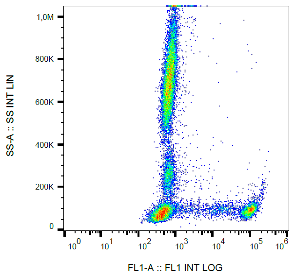 Anti-Hu CD8 FITC