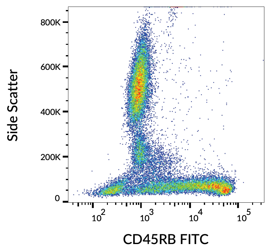 CD45RB antibody (FITC)