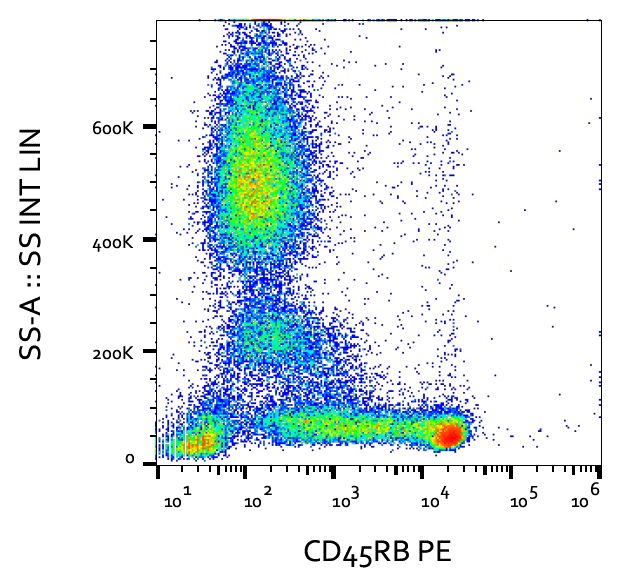 CD45RB antibody (PE)