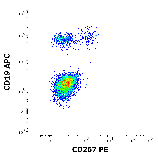 CD267 antibody (PE)