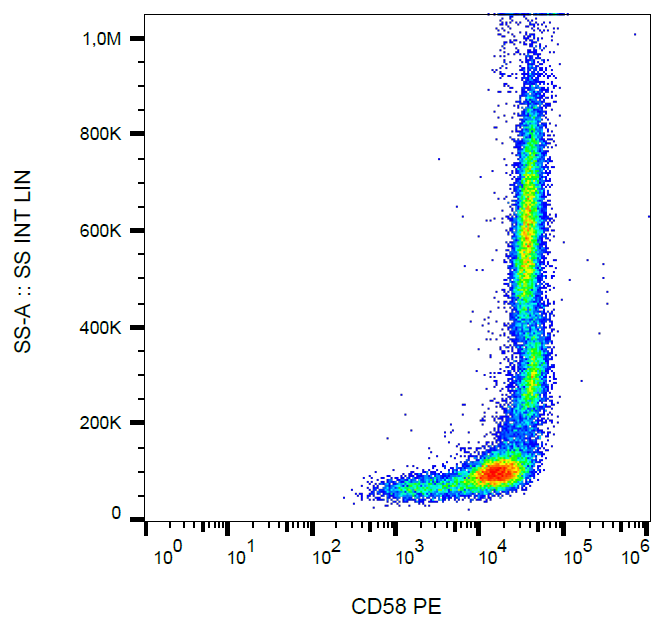 CD58 antibody (PE)