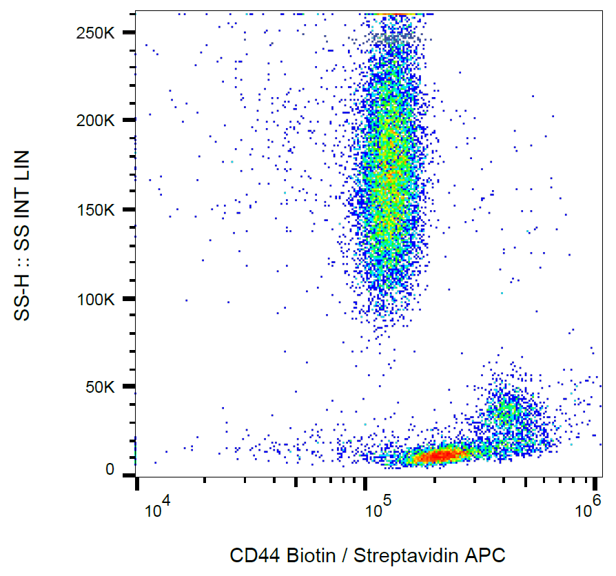 CD44 antibody (Biotin)