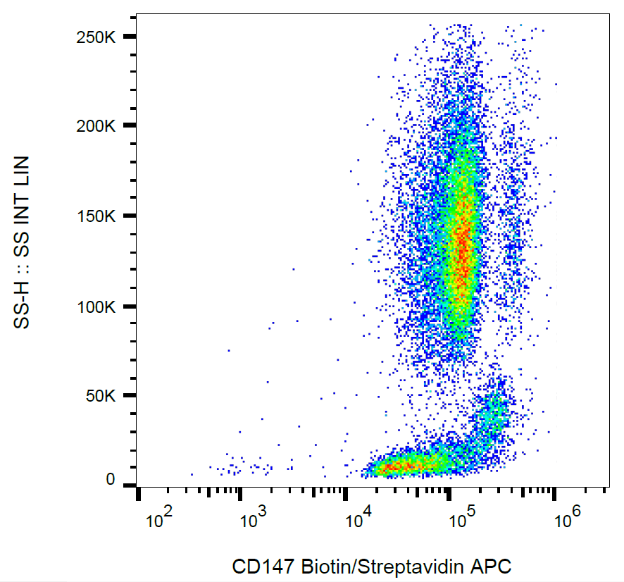 CD147 antibody (Biotin)