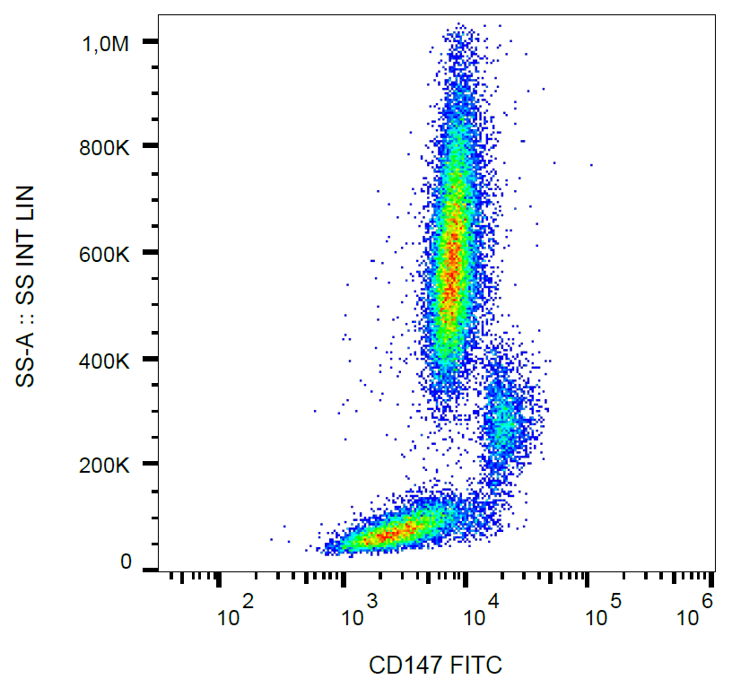 CD147 antibody (FITC)