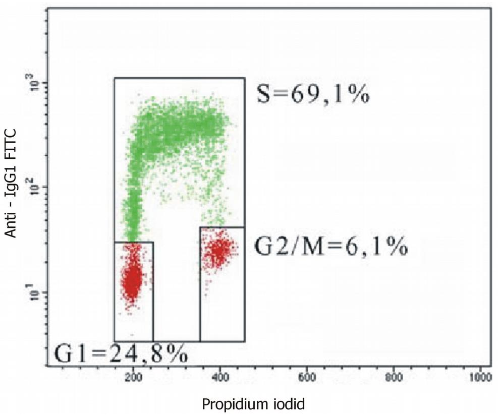 5-BrdU antibody