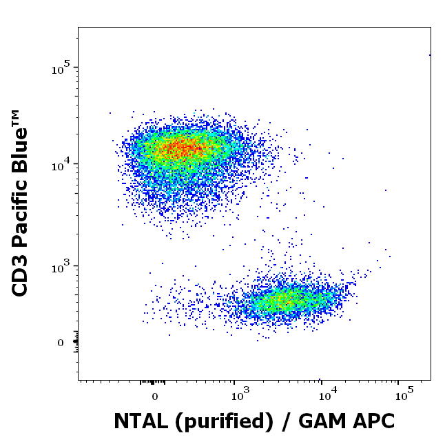 NTAL antibody