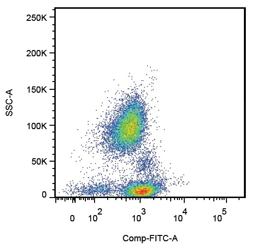 Anti-Hu CD162 Purified