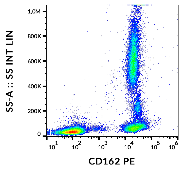 CD162 antibody (PE)