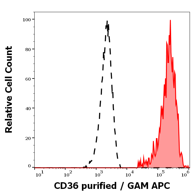 Anti-Hu CD36 Purified