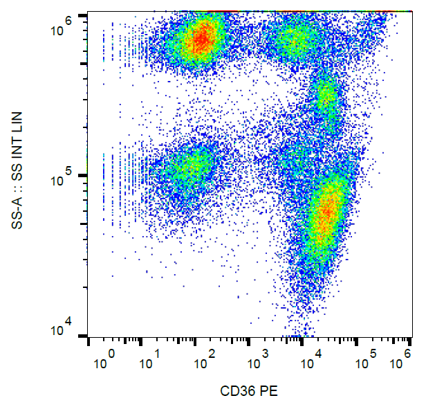 Anti-Hu CD36 PE
