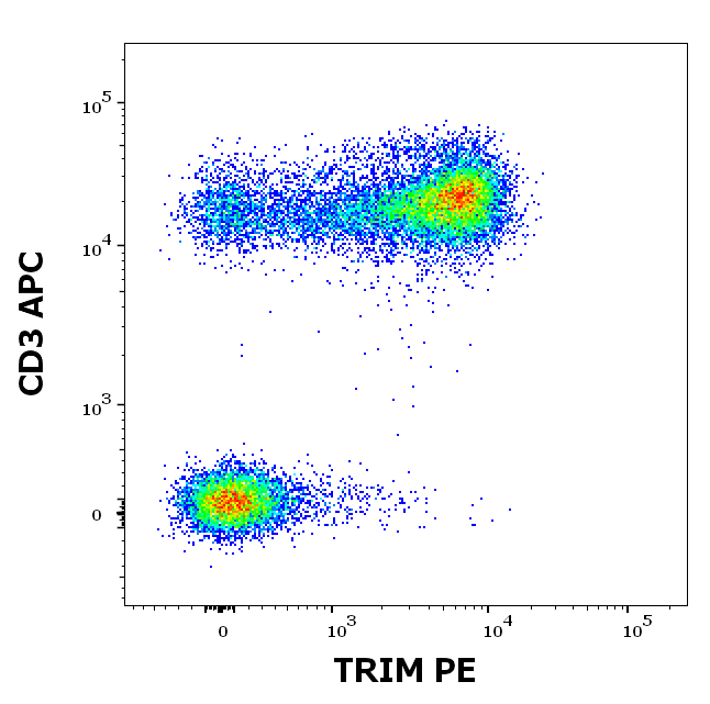 TRIM Antibody (PE)