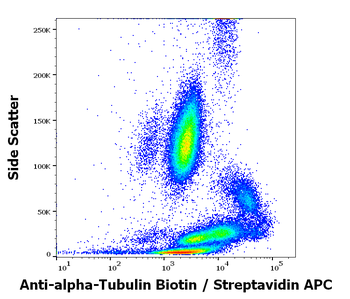 alpha tubulin antibody (Biotin)