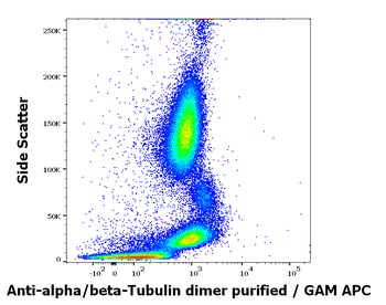 Anti-alpha/beta-Tubulin dimer Purified