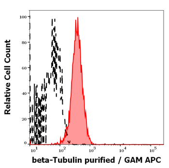 Anti-beta-Tubulin Purified
