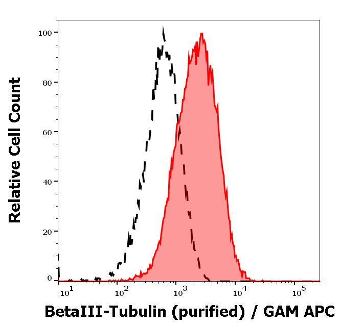 Anti-betaIII-Tubulin Purified