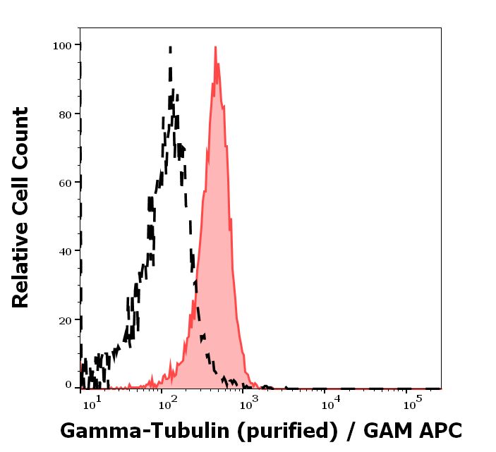 Anti-gamma-Tubulin Purified