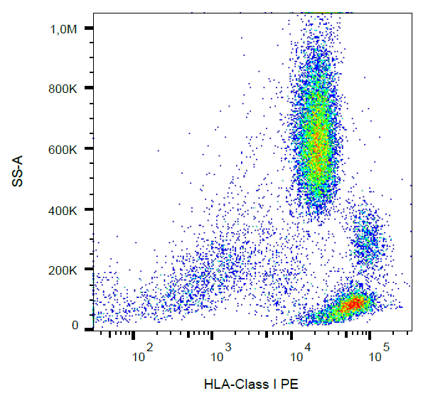 HLA-A antibody (PE)