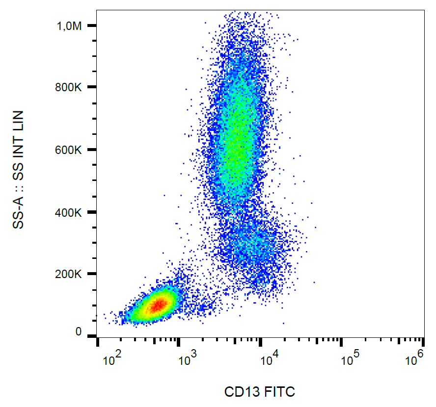 CD13 antibody (FITC)