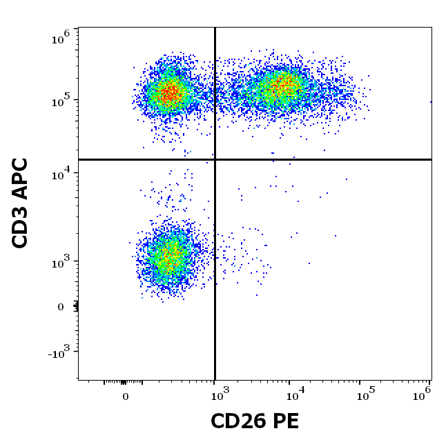 Anti-Hu CD26 PE
